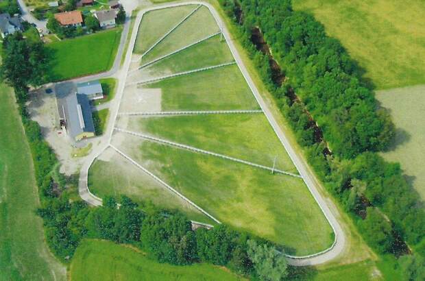 Gewerbeobjekt kaufen in 4910 Ried (Bild 2)