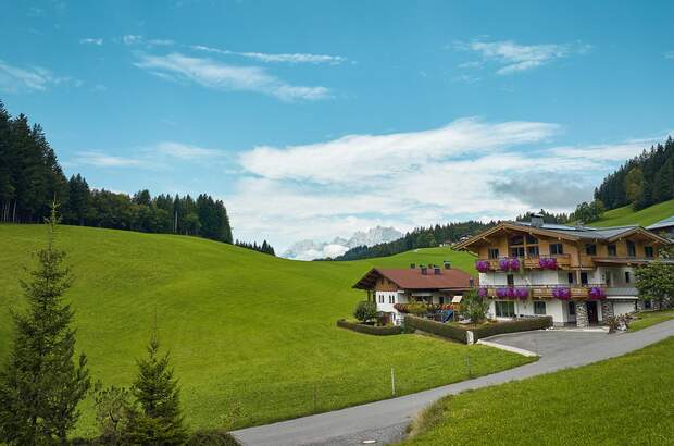 Chalet kaufen in 6391 Fieberbrunn (Bild 5)