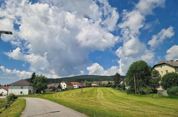 Grundstück kaufen in 4251 Sandl (Bild 2)