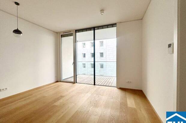 Terrassenwohnung mieten in 1030 Wien (Bild 1)