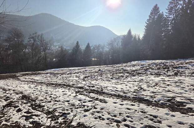 Grundstück kaufen in 3011 Purkersdorf (Bild 1)