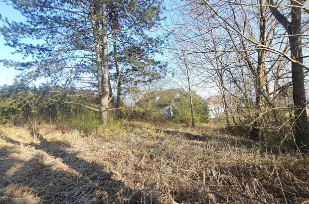 Grundstück kaufen in 8062 Kumberg (Bild 5)