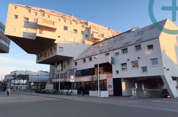 Immobilie mieten in 1220 Wien (Bild 3)