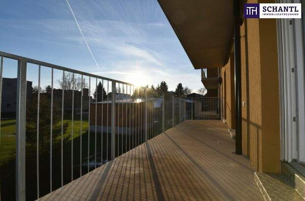 Terrassenwohnung kaufen in 8401 Kalsdorf (Bild 2)