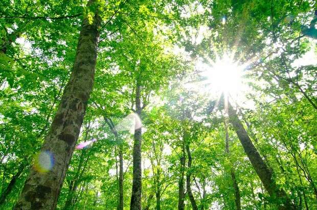 Anlageobjekt kaufen in 4020 Linz (Bild 3)