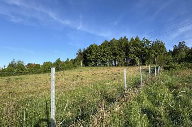 Grundstück kaufen in 4943 Geinberg (Bild 4)