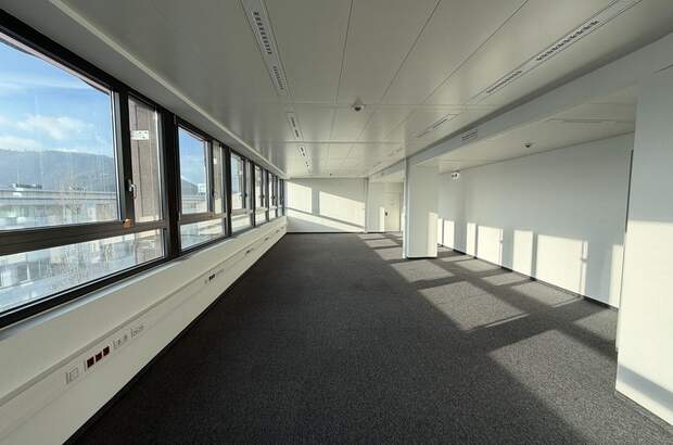 Gewerbeobjekt mieten in 8020 Graz (Bild 4)