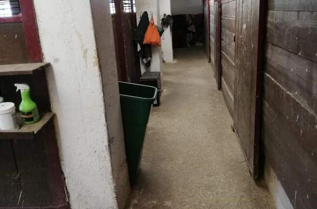 Immobilie mieten in 8732 Seckau (Bild 3)