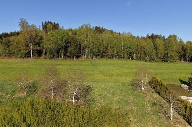 Grundstück kaufen in 8600 Oberaich (Bild 1)