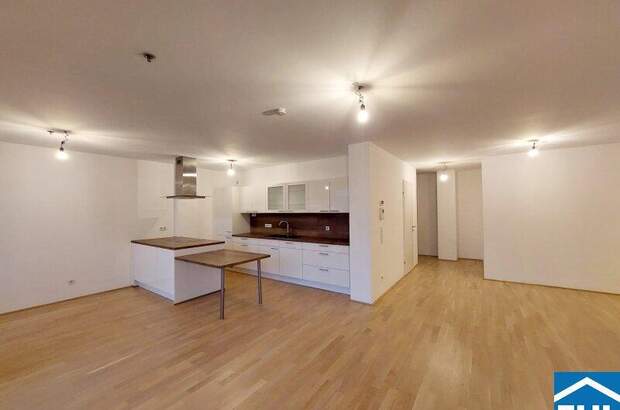 Terrassenwohnung mieten in 1090 Wien (Bild 3)