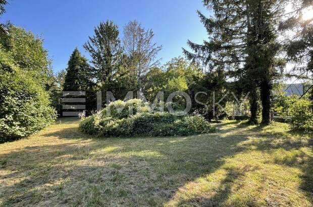 Einfamilienhaus kaufen in 2286 Haringsee (Bild 1)