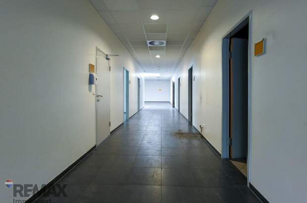 Gewerbeobjekt kaufen in 6923 Lauterach (Bild 4)