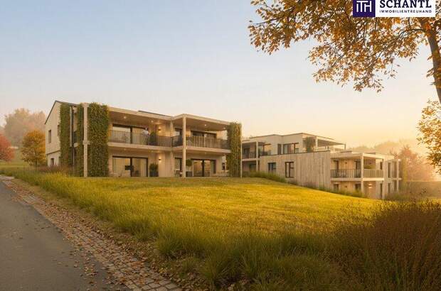 Terrassenwohnung kaufen in 8461 Ehrenhausen (Bild 1)