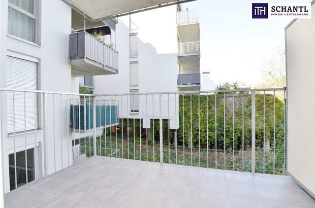 Terrassenwohnung mieten in 8020 Graz (Bild 2)
