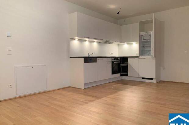 Terrassenwohnung mieten in 1020 Wien (Bild 1)