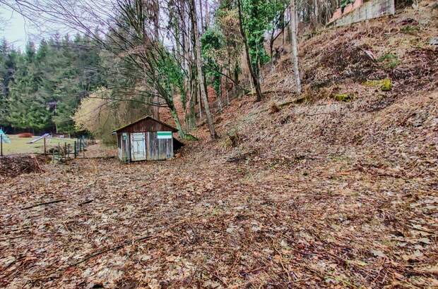 Grundstück kaufen in 8114 Gratkorn (Bild 1)