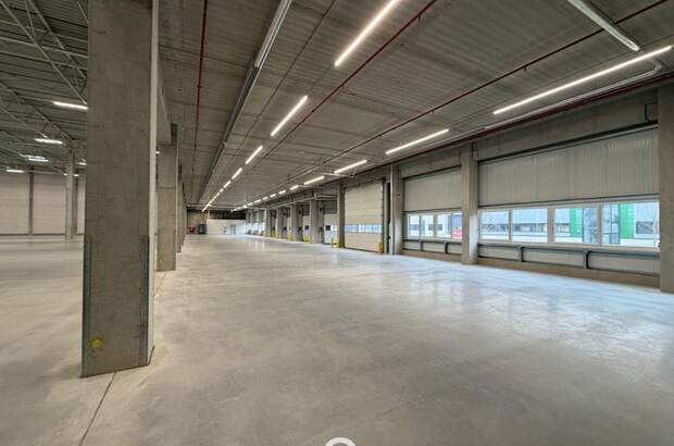 Gewerbeobjekt mieten in 4470 Enns (Bild 2)