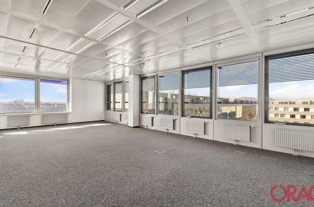 Gewerbeobjekt mieten in 1220 Wien (Bild 5)