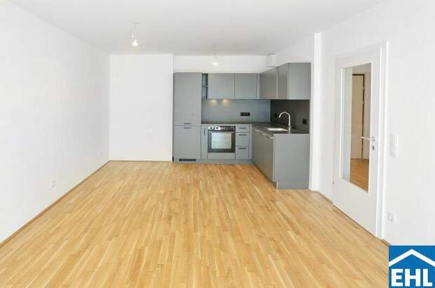 Terrassenwohnung mieten in 1220 Wien (Bild 1)