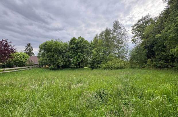 Grundstück kaufen in 4201 Eidenberg (Bild 2)