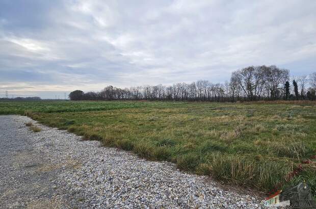 Grundstück kaufen in 2433 Margarethen (Bild 3)