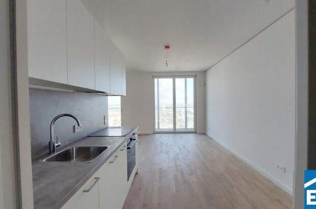 Terrassenwohnung mieten in 1220 Wien (Bild 1)