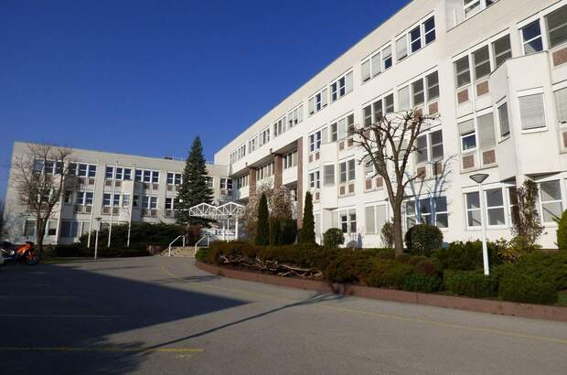 Gewerbeobjekt mieten in 1230 Wien (Bild 1)