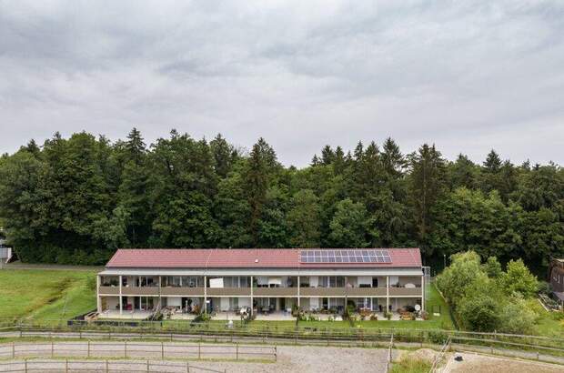 Wohnung mieten in 8502 Lannach (Bild 4)