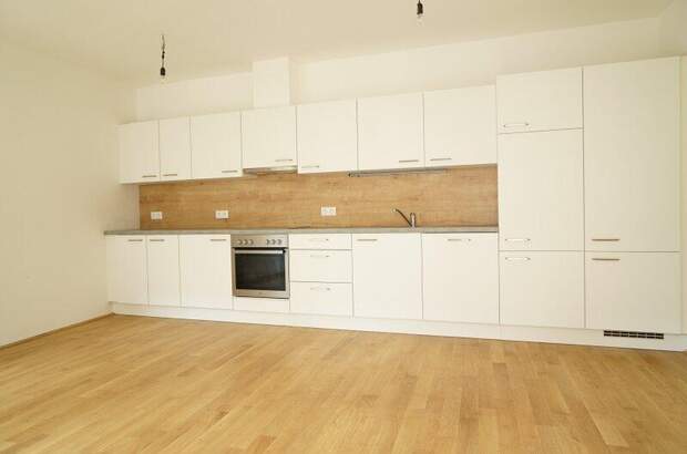 Haus mieten in 1030 Wien (Bild 3)