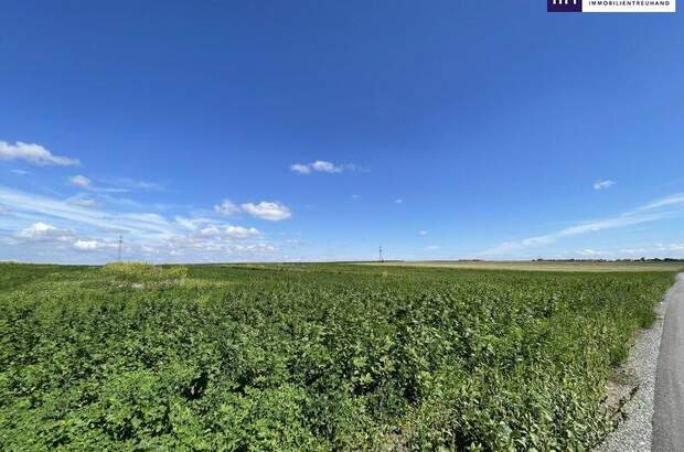 Grundstück kaufen in 2440 Moosbrunn (Bild 1)