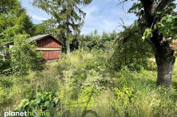 Grundstück kaufen in 2380 Perchtoldsdorf (Bild 1)