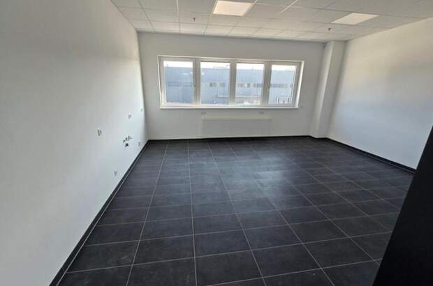 Gewerbeobjekt mieten in 2431 Enzersdorf (Bild 5)