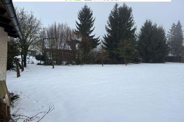 Grundstück kaufen in 4211 Spattendorf (Bild 3)