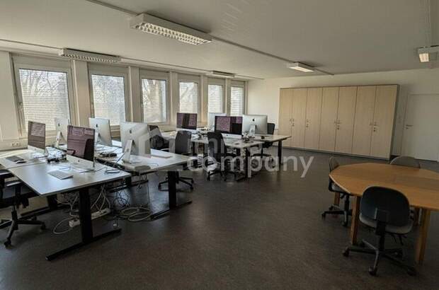 Gewerbeobjekt mieten in 2751 Steinabrückl (Bild 4)