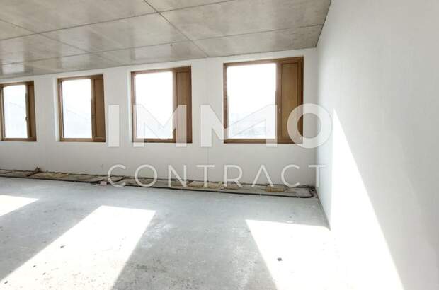 Gewerbeobjekt mieten in 1230 Wien (Bild 3)