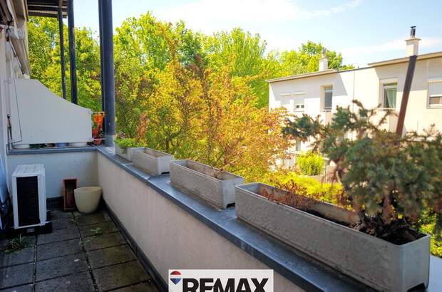 Terrassenwohnung kaufen in 1230 Wien (Bild 5)