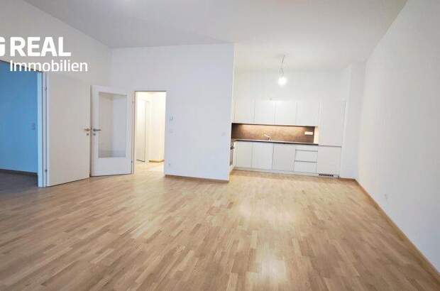 Terrassenwohnung mieten in 1020 Wien (Bild 1)