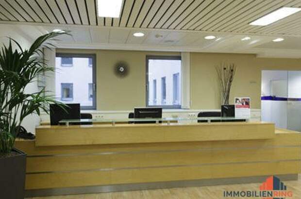 Gewerbeobjekt mieten in 1060 Wien (Bild 2)