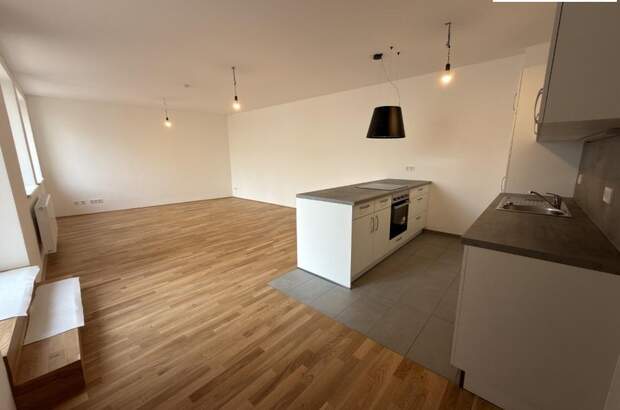 Terrassenwohnung mieten in 3100 St. Pölten (Bild 4)