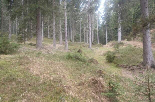 Gewerbeobjekt kaufen in 9542 Verditz (Bild 2)