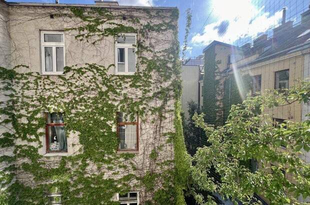 Terrassenwohnung kaufen in 1050 Wien (Bild 2)