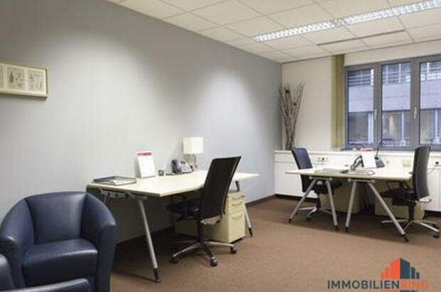Gewerbeobjekt mieten in 1060 Wien (Bild 3)