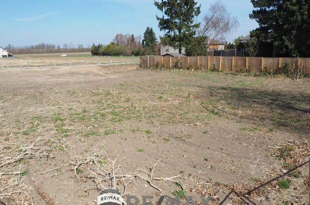 Grundstück kaufen in 3433 Königstetten (Bild 2)