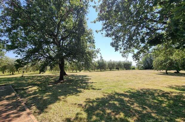 Haus kaufen in 52440 Porec (Bild 3)