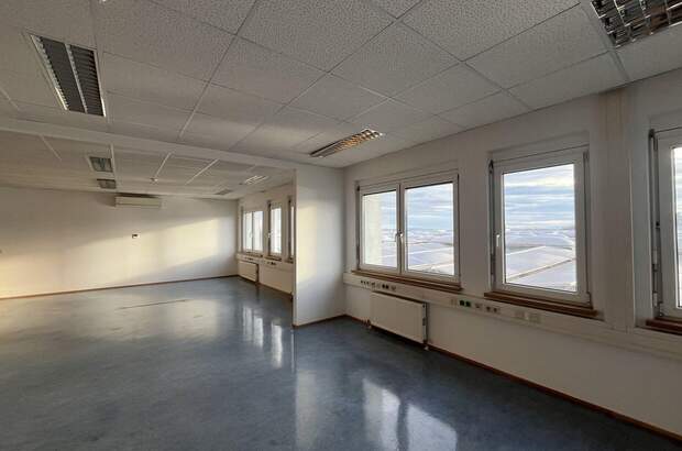 Gewerbeobjekt mieten in 2351 Wiener Neudorf (Bild 1)