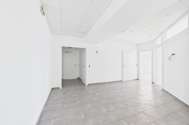 Büro / Praxis mieten in 4221 Steyregg (Bild 2)