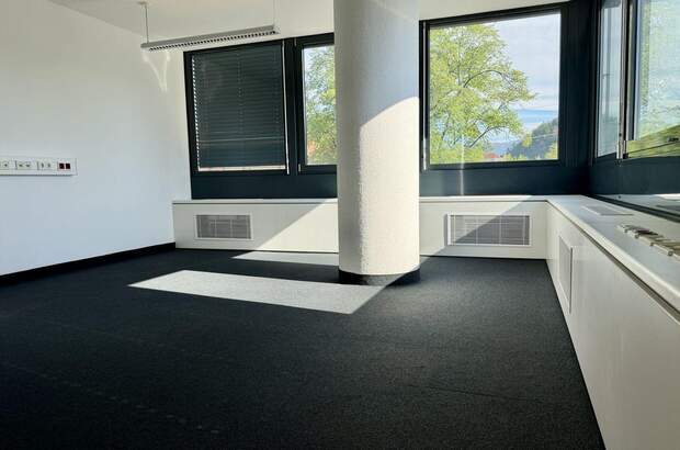 Gewerbeobjekt mieten in 8010 Graz (Bild 2)