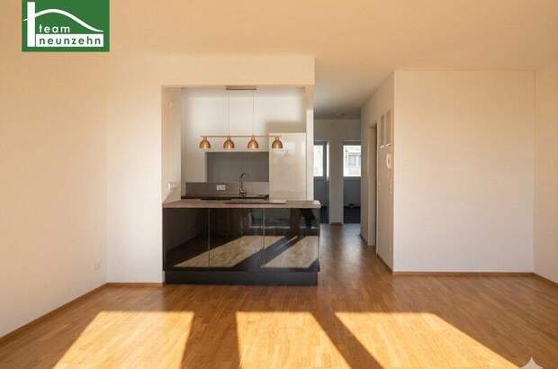 Terrassenwohnung kaufen in 1230 Wien (Bild 2)