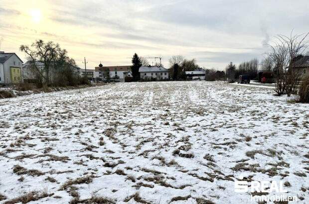 Grundstück kaufen in 4070 Pupping (Bild 3)