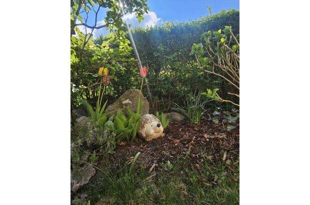 Mehrfamilienhaus kaufen in 9782 Nikolsdorf (Bild 5)